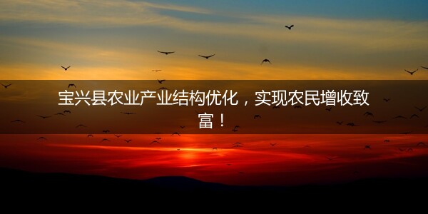 寶興縣農業産業結構優化，實現農民增收緻富！