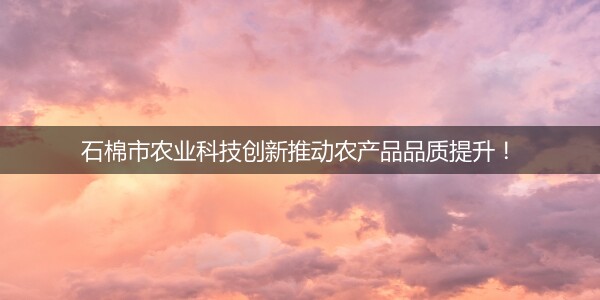 石棉市農業科技創新推動農産品品質提升！